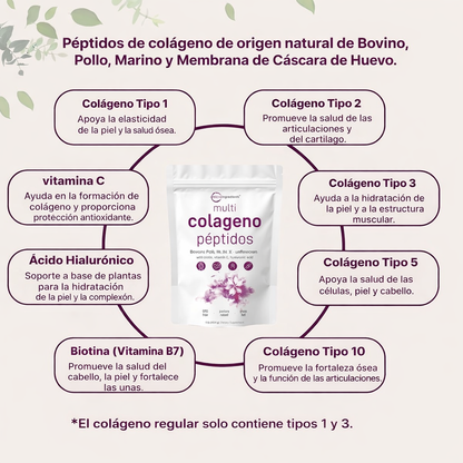Péptidos de colágeno múltiple  Microingredients™  Original